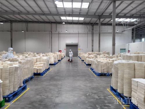 看宜路精彩丨興文 打造優(yōu)良營商環(huán)境 賦能竹產(chǎn)業(yè)發(fā)展