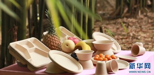 七十二變，竹產(chǎn)業(yè)拔節(jié)向上——環(huán)保科技賦能傳統(tǒng)產(chǎn)業(yè)煥新